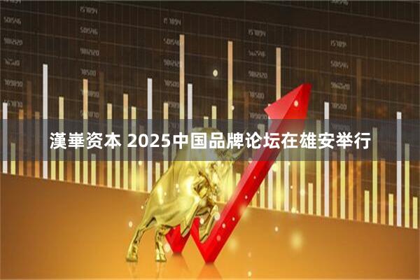 漢崋资本 2025中国品牌论坛在雄安举行