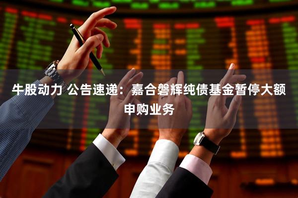 牛股动力 公告速递：嘉合磐辉纯债基金暂停大额申购业务